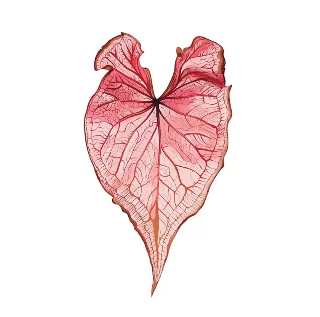 식물 마그넷, 초록 감성을 담은 브랜드 굿즈로 제작하기 4 tropical plant realistic refrigerator magnet 24
